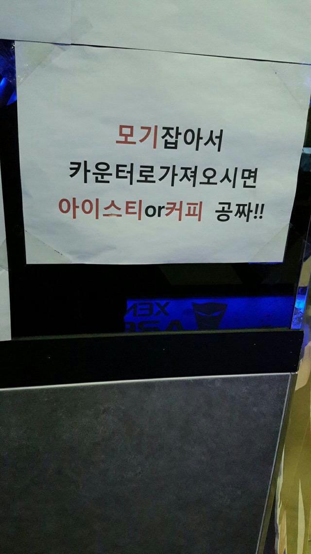 미쵸미쵸 이미지