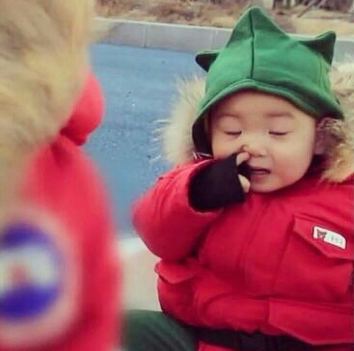 걸어다니는 애교주머니 민국이 모음 (데이터주의!) | 인스티즈