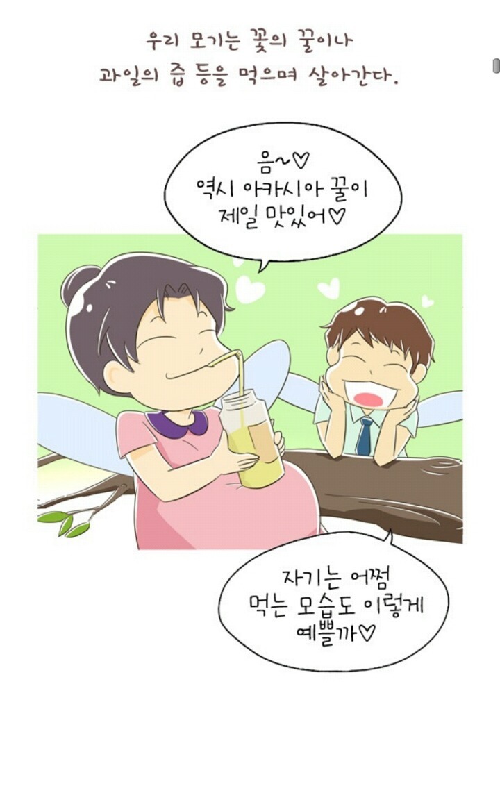 인간들이 모기들에게 물려야하는 이유...jpg | 인스티즈