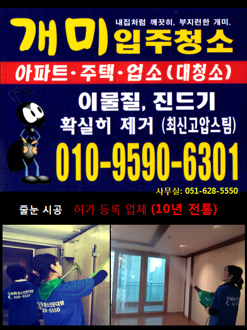 개미청소 이미지