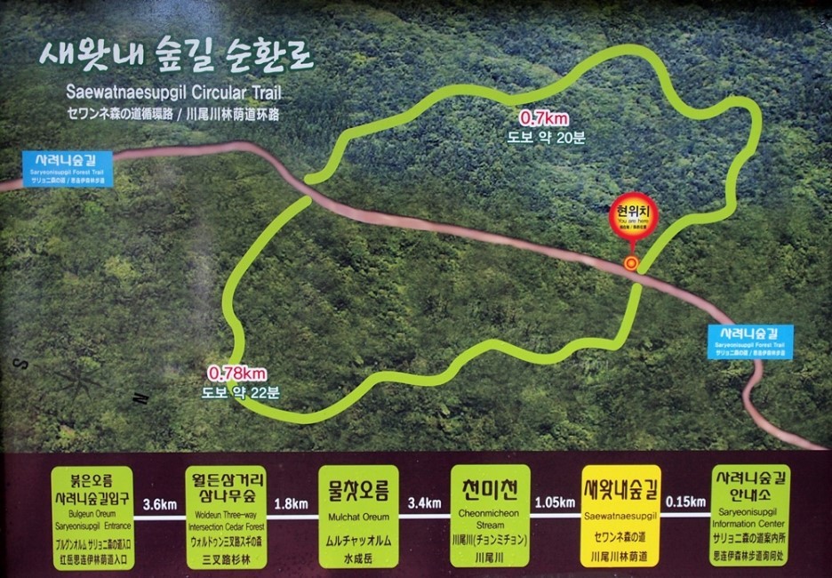 뉴월드관광주 이미지