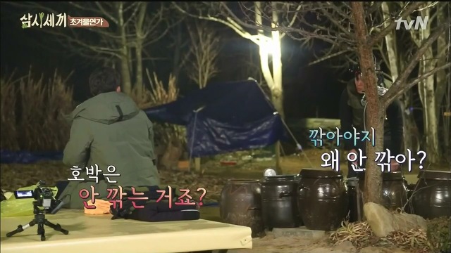 [삼시세끼] 최지우한테 작업거는 이서진(feat.해태)ㅋㅋㅋㅋㅋㅋㅋㅋㅋ.jpg | 인스티즈