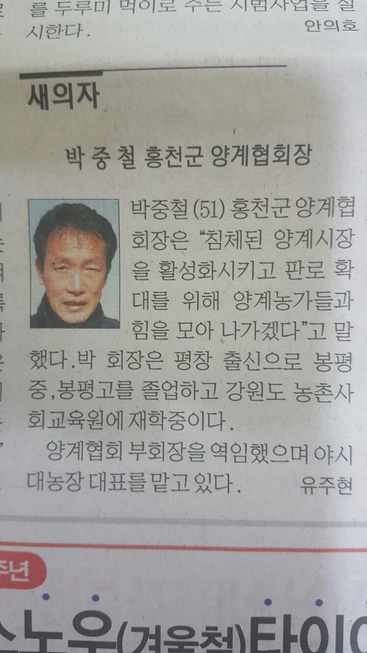 홍천양계 이미지