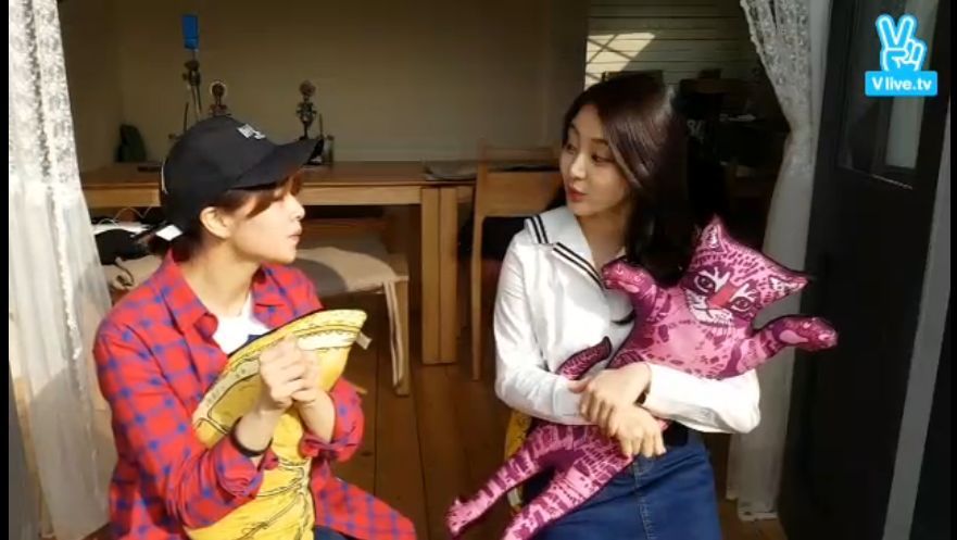 [트와이스] 정연-지효 v앱 라이브 시작 | 인스티즈