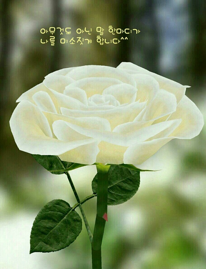 재활용센타 이미지