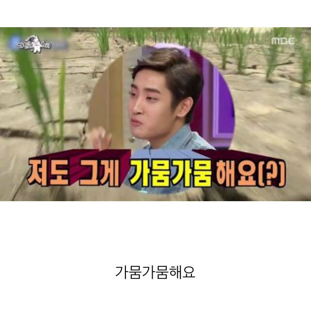 라디오스타가 낳은 최고의 스타 8인.jpg | 인스티즈