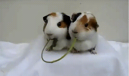 뜻밖의 딥키스 | 인스티즈