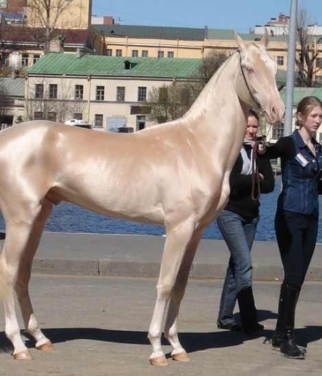 아무말 대잔치.JPGIF | 인스티즈
