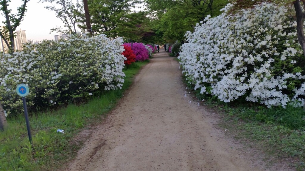 (주)새벽 이미지