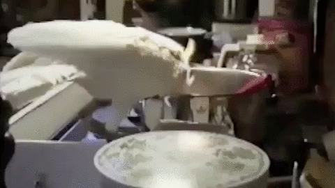 잘 어울리는 동물친구들 | 인스티즈