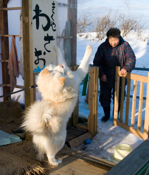 주인 이미지