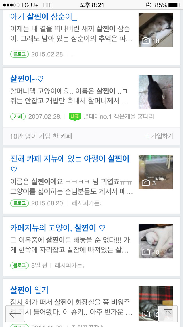살찐이(feat.야옹🐈🐾) | 인스티즈