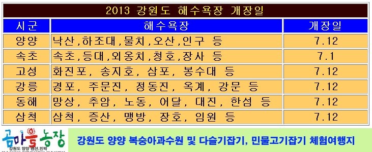곰마을민박 이미지