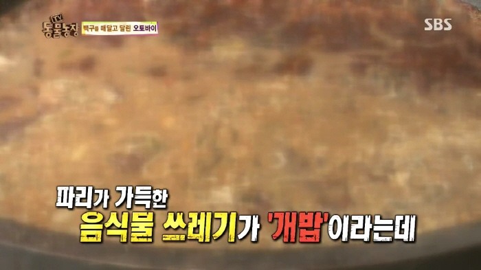 [TV동물농장] 동물농장에서 방송된 인천의 한 개 도축장의 현실.jpg | 인스티즈