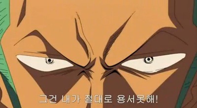 [원피스] 루피가 가장 신뢰하는 동료.jpg | 인스티즈