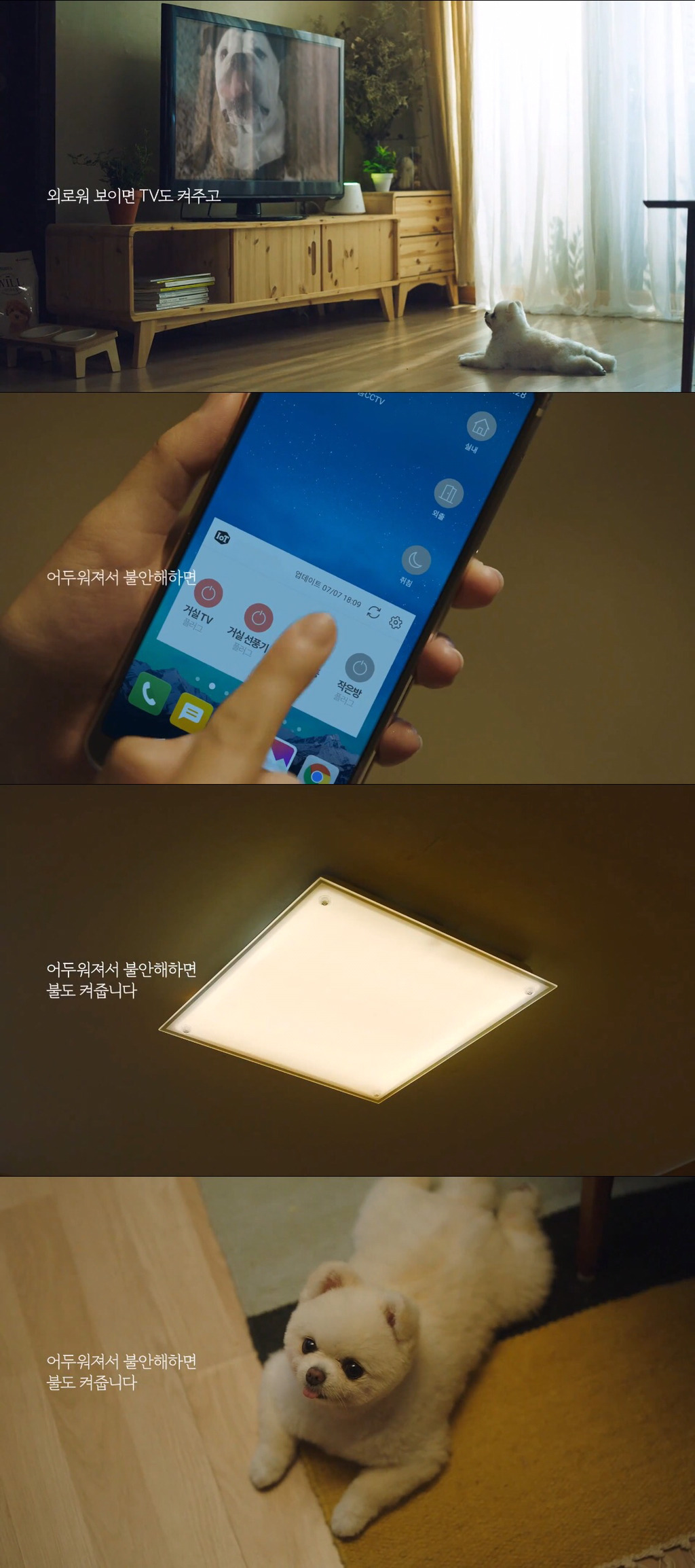 [눈물주의] 반려동물 반려인이라면 홀린듯 끝까지 보게 되는 유튜브 광고 | 인스티즈