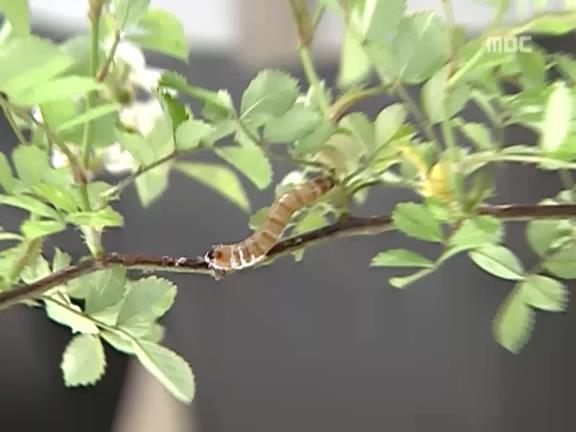 [거침없이하이킥] 선생님 복수해주는 윤호 에피소드.jpg | 인스티즈