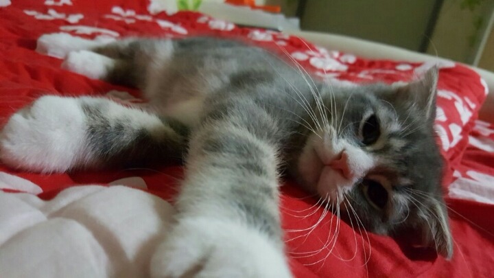 덕9 이미지