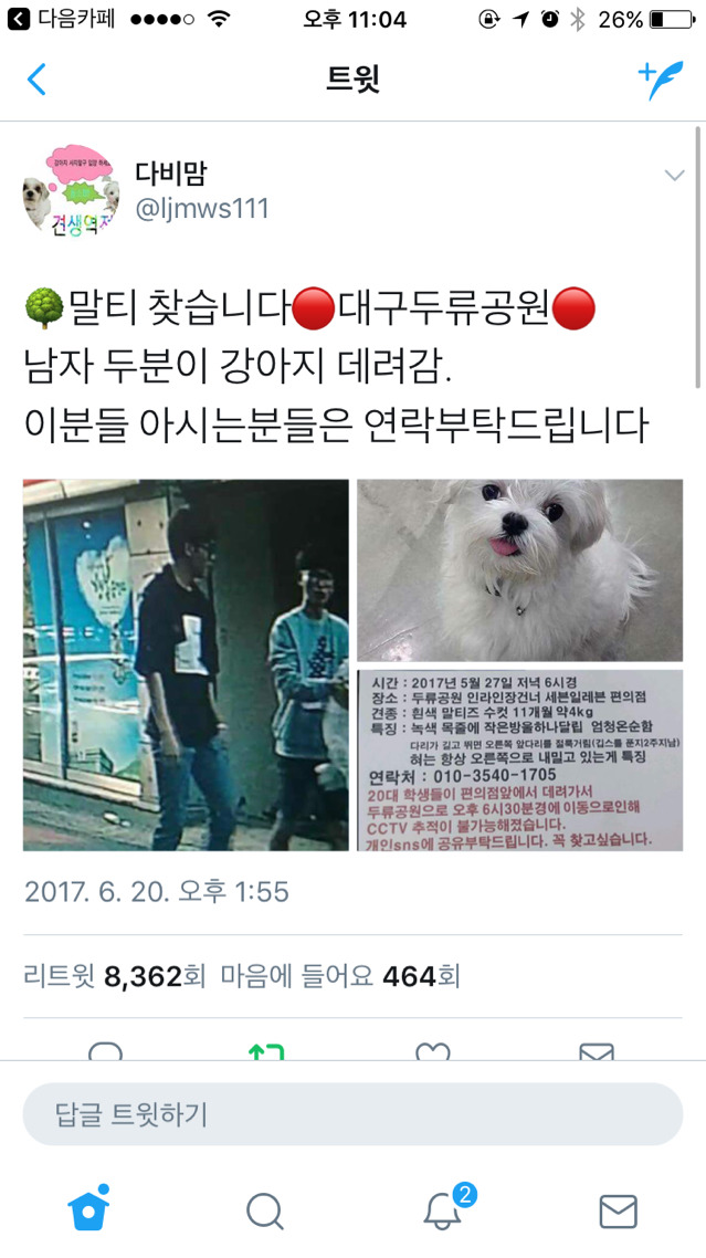 대구에서 남자 2명이 실수로 주인있는 말티즈를 데려갔대! 주인이 애타게 제보바라고있어! | 인스티즈