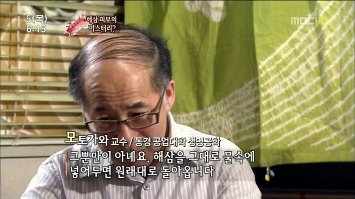 해삼의 미스테리.jpg | 인스티즈