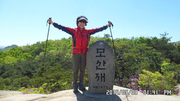 해살이 이미지