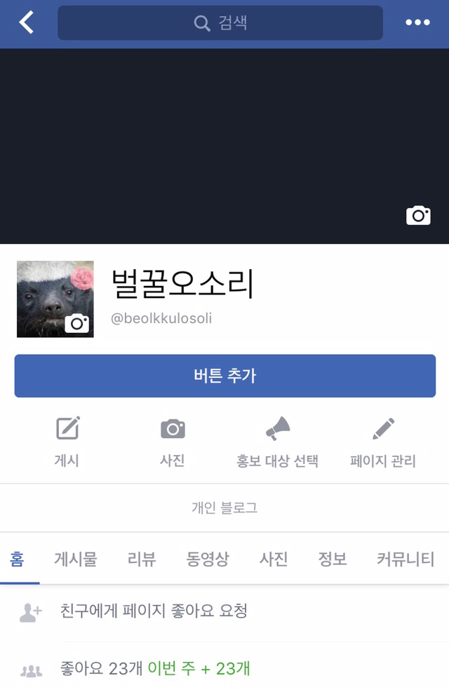 블루일베 여론 정화를 위한 벌꿀오소리 페이스북 페이지가 생겼긔!! | 인스티즈