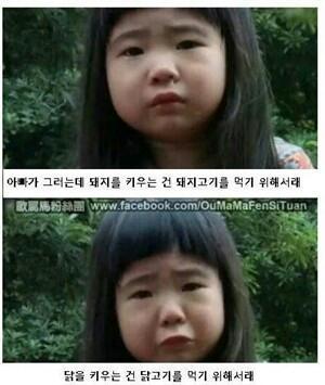 우야꼬 이미지