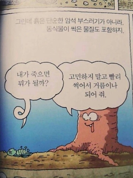 나무의 인성 수준 | 인스티즈