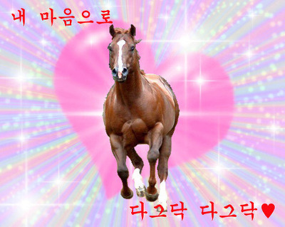 먼저 보이는 3단어가 당신 인생에서 추구하는것 | 인스티즈