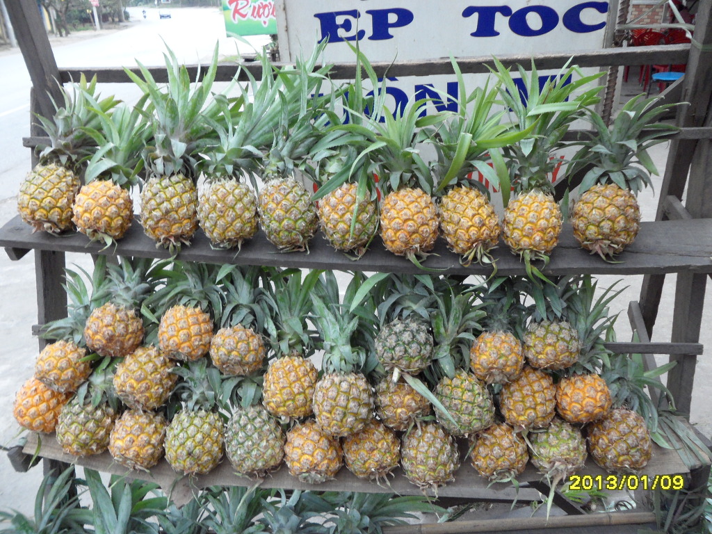 일직 이미지
