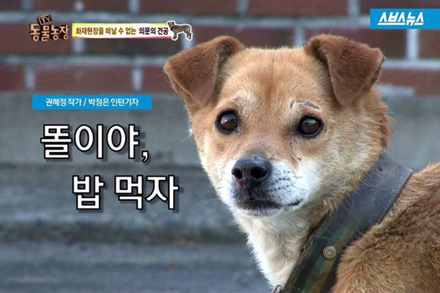 먹자 이미지