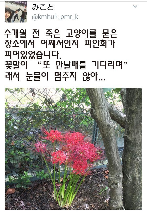이과가또...... | 인스티즈