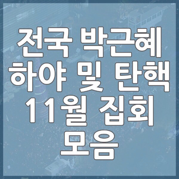 전국 박근혜 하야 및 탄핵 11월 집회(시위) 모음 | 인스티즈