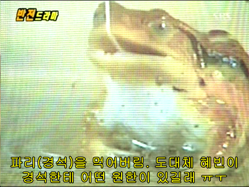 반전드라마 베스트 에피소드 저승사자의 사랑 完 | 인스티즈