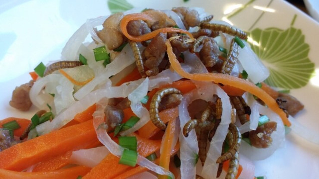 벌레주의) 우리나라에서 매년 열린다는 곤충요리경연대회 | 인스티즈