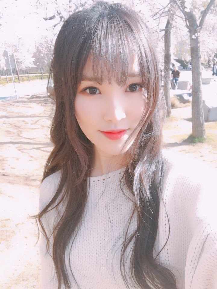 오다니 이미지
