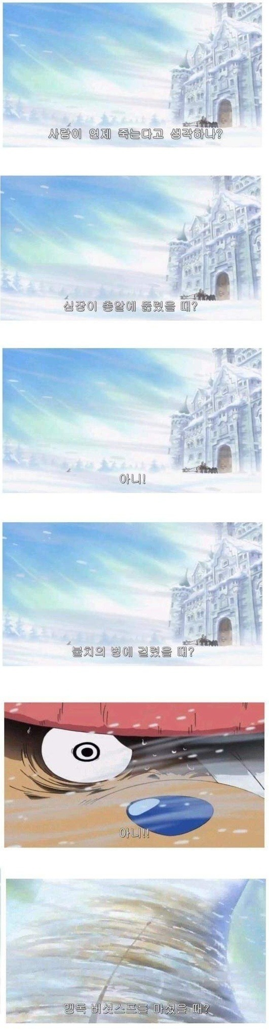 사람이 언제 죽는다고 생각하나? | 인스티즈