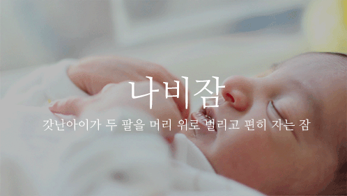 아름다운 우리말들 | 인스티즈