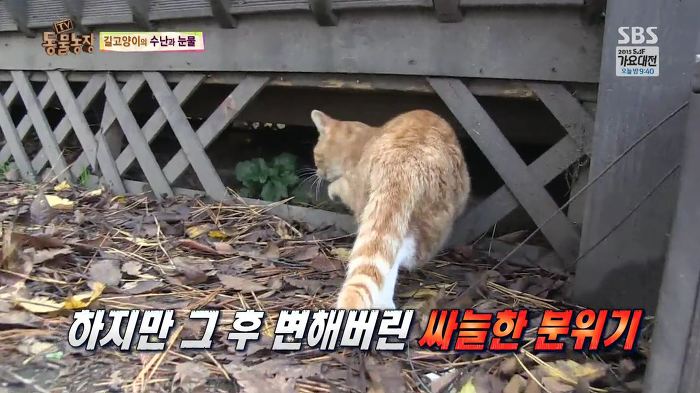 눈앞에서 제 아이가 맞아죽었습니다. 도와주세요 | 인스티즈