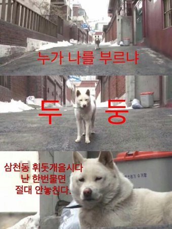 쓰담-쓰담 이미지