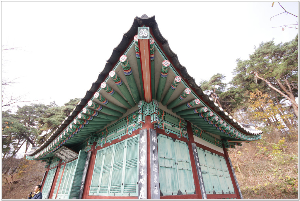 금란정 이미지