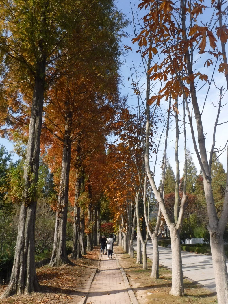 경주산책 이미지