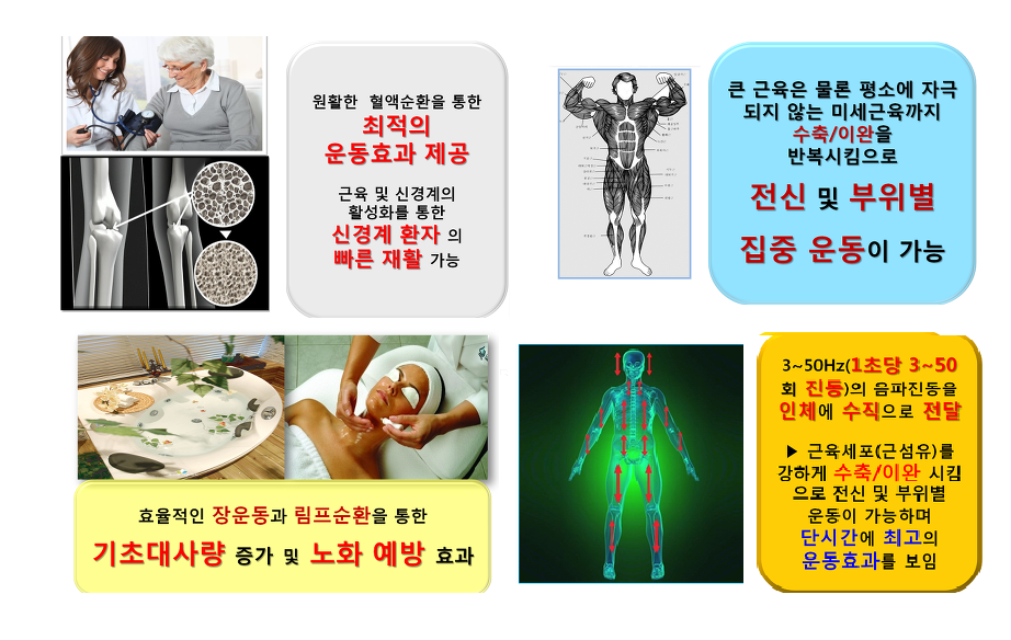 음파 이미지