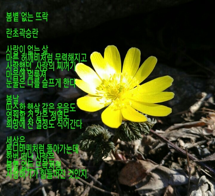 뜨락 이미지