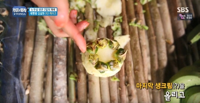 정글에서 생일을 맞은 찬성을 위해 설현이 만든 파인애플 3단케이크.jpg | 인스티즈