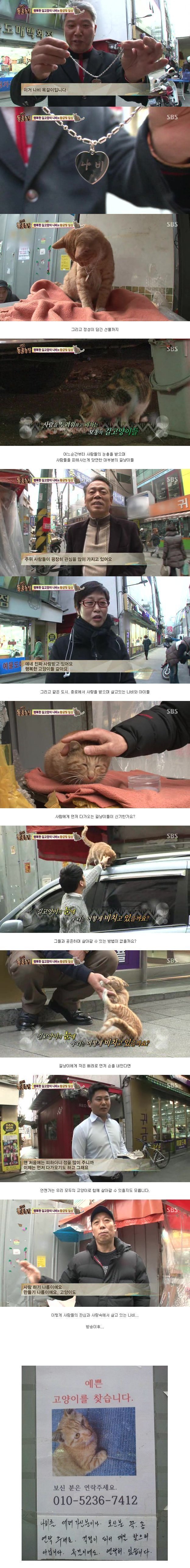 길냥이 레전드.jpg | 인스티즈