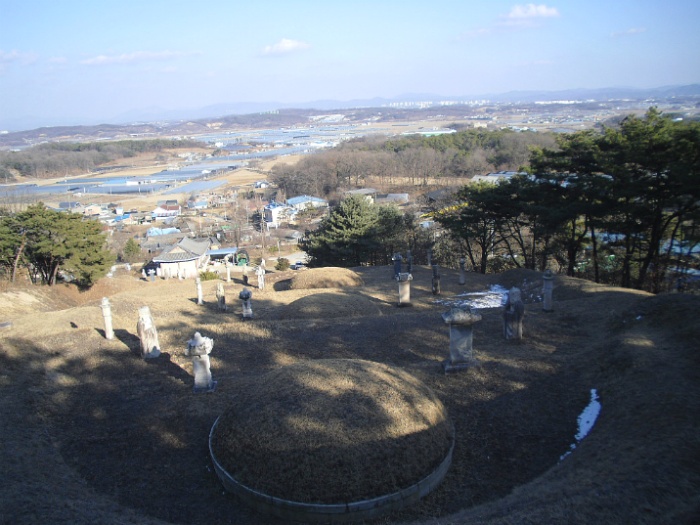 삼대인력 이미지