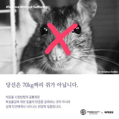 저를 죽이기 전에 눈을 한번 봐주세요(혐오주의) | 인스티즈