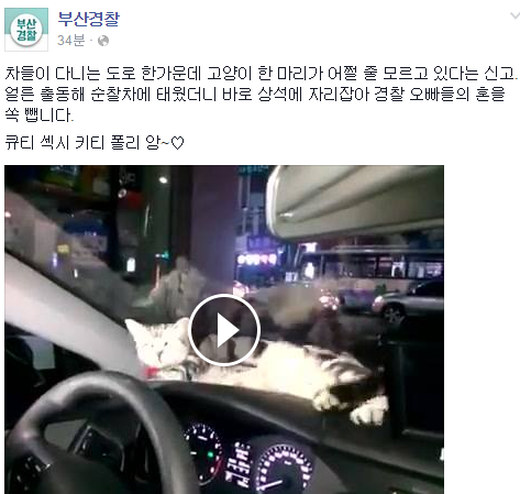부산 경찰이 급하게 뛰어가는 이유.jpg | 인스티즈