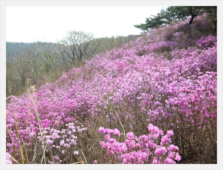 오치골 이미지